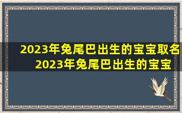 2023年兔尾巴出生的宝宝取名  2023年兔尾巴出生的宝宝取名叫什么